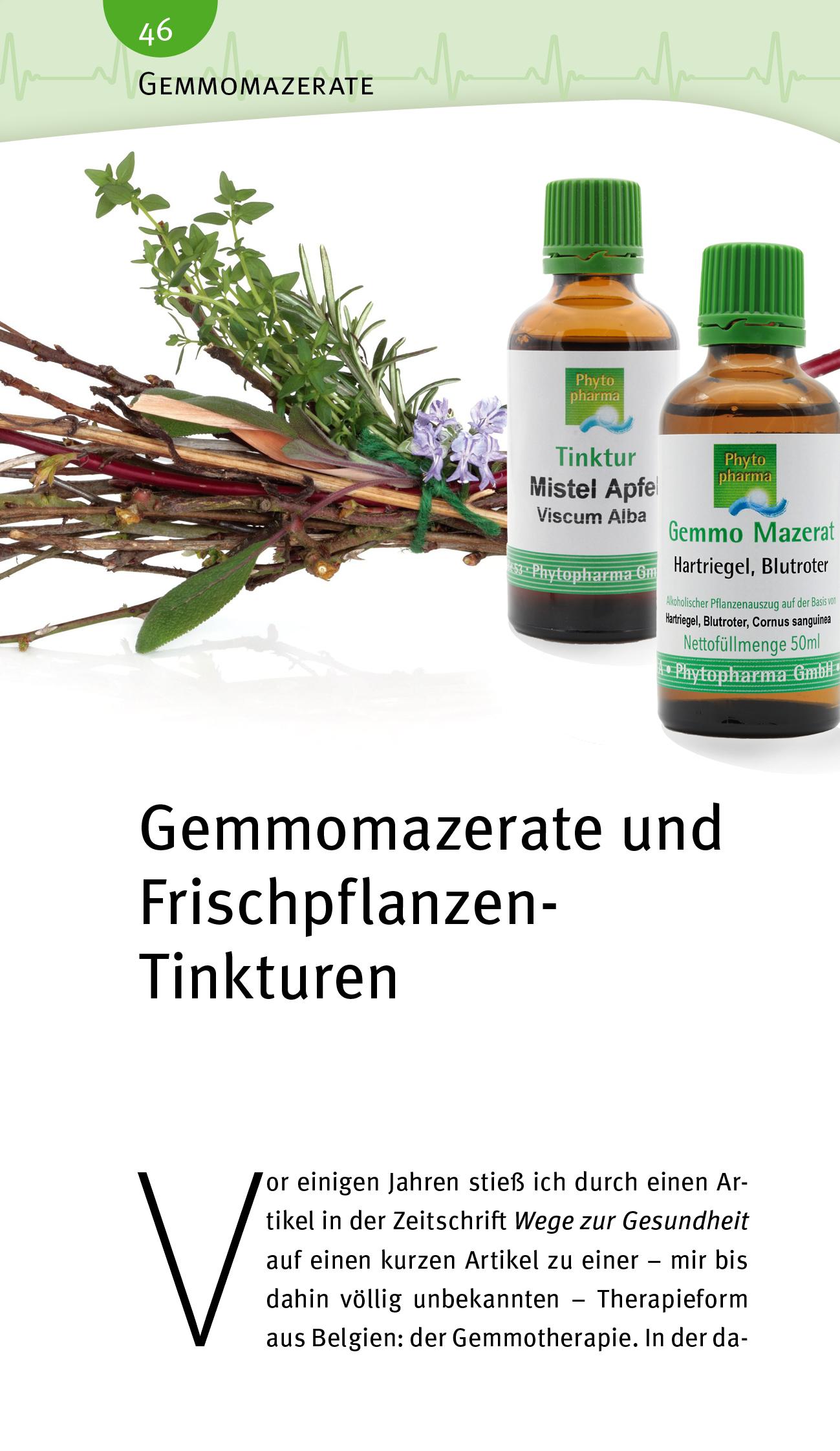 Beispielinhalt (Bild) Blutdruck