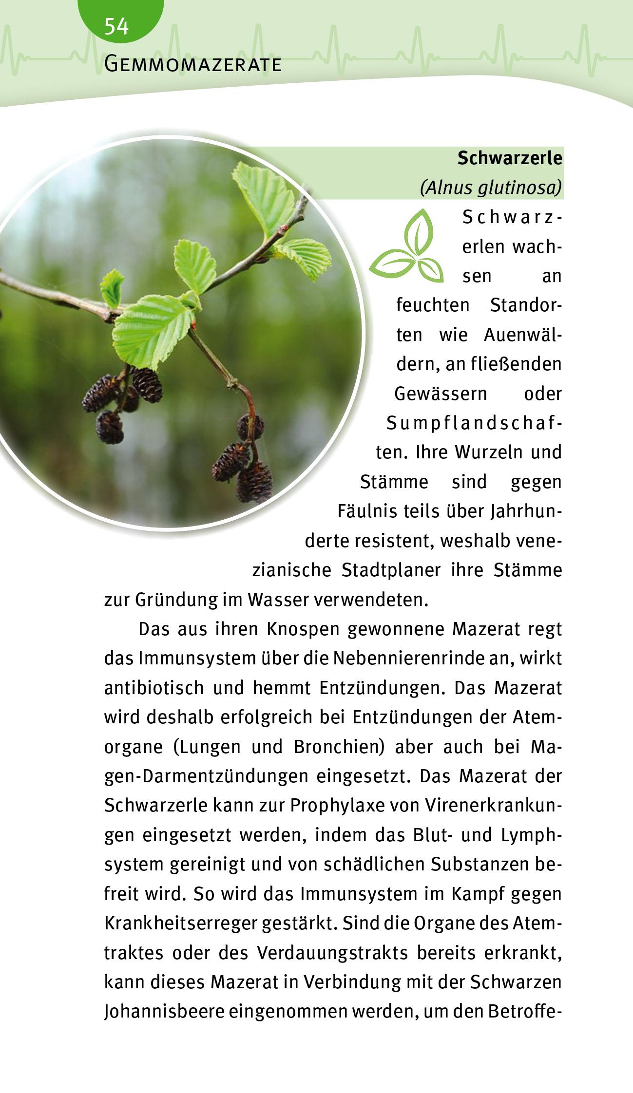 Beispielinhalt (Bild) Blutdruck