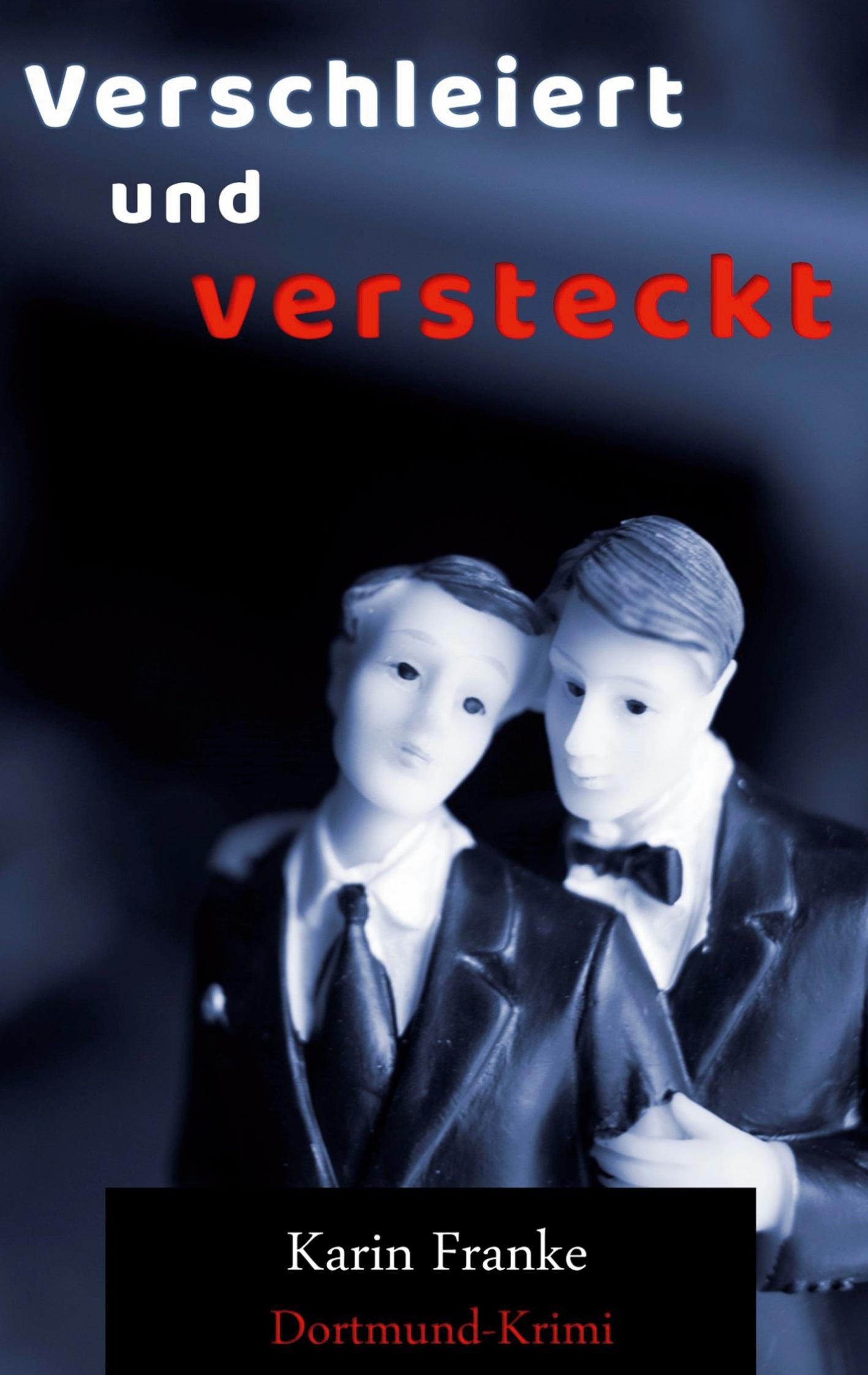 Vorderes Coverbild Verschleiert und versteckt