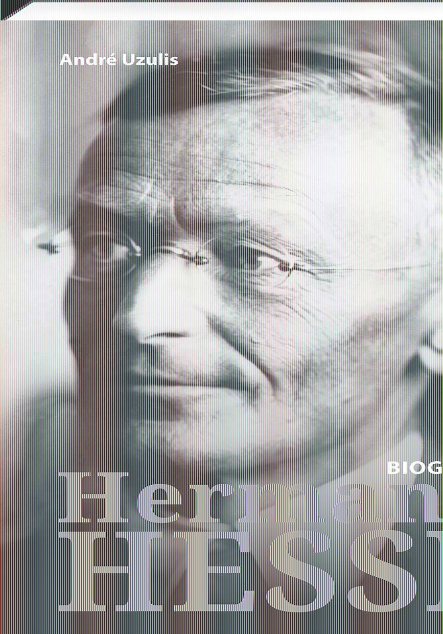 Vorderes Coverbild Hermann Hesse