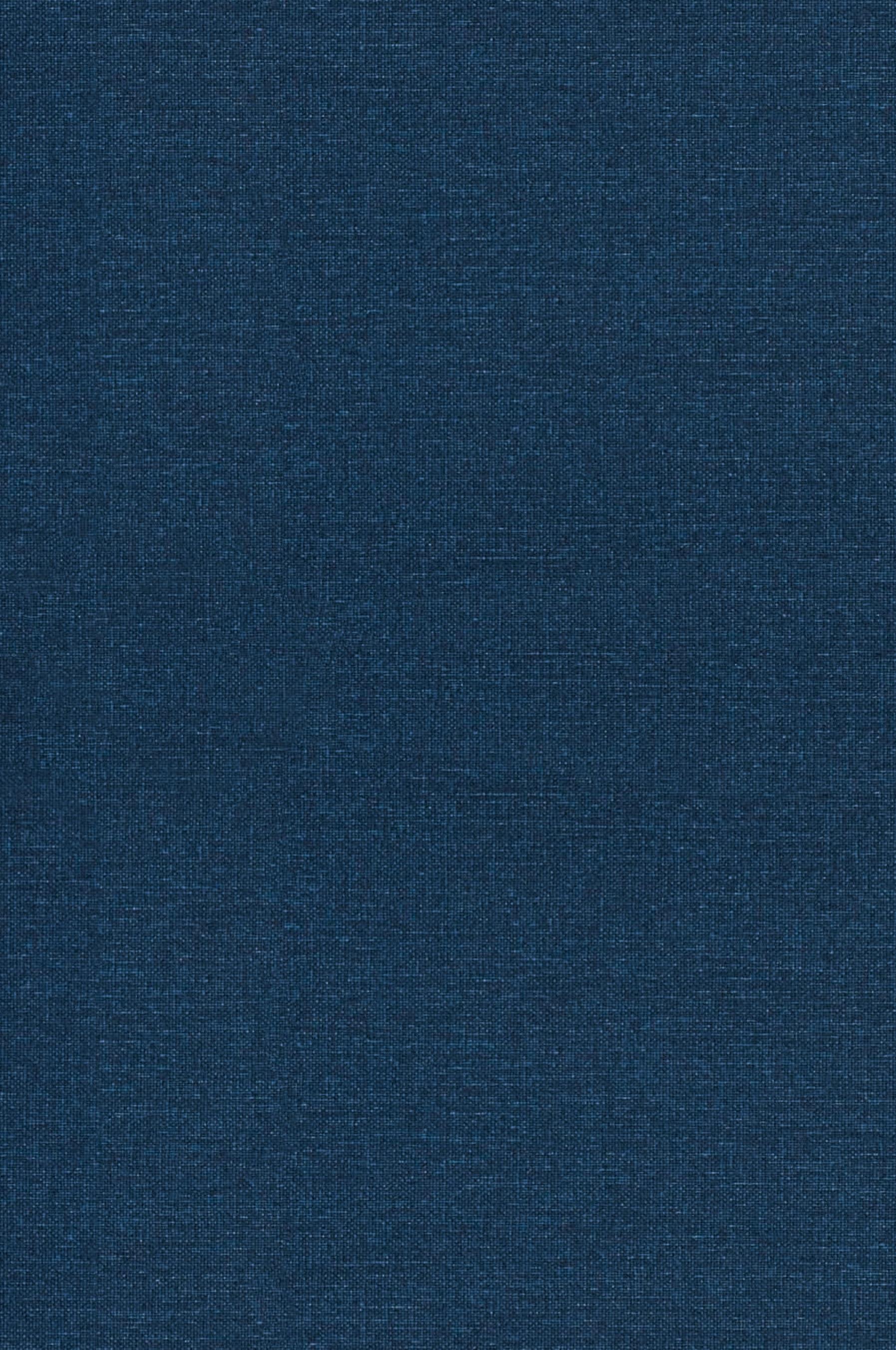 Vorderes Coverbild Faust by Johann Wolfgang von Goethe, Drama, European