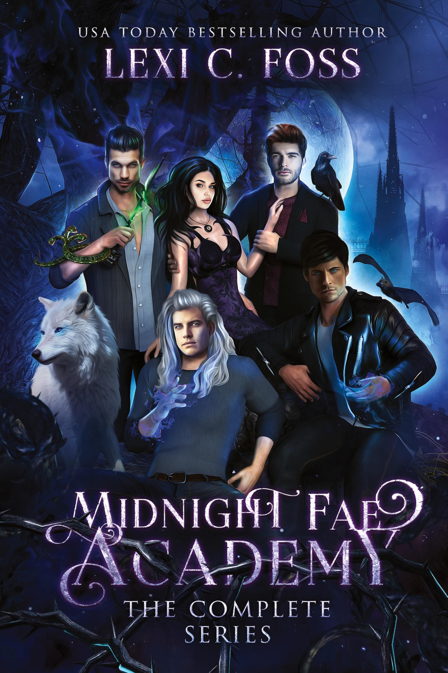 Vorderes Coverbild Midnight Fae Academy