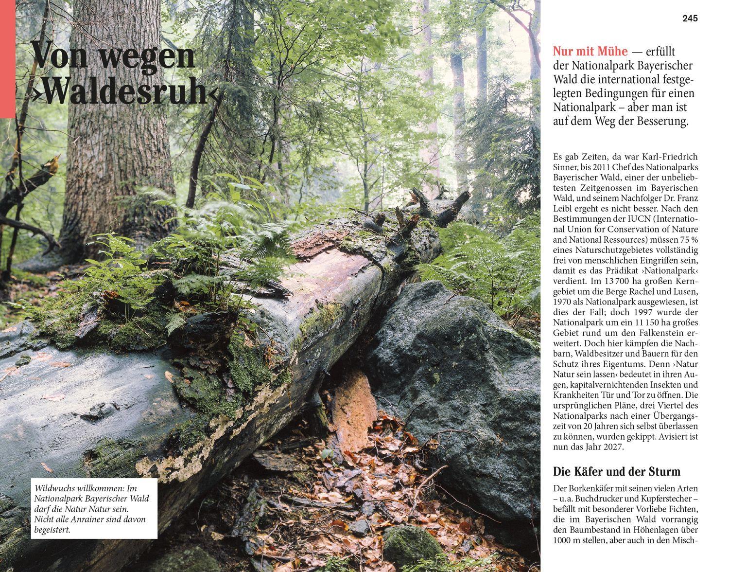 Beispielinhalt (Bild) DuMont Reise-Taschenbuch Bayerischer Wald Regensburg Oberpfälzer Wald