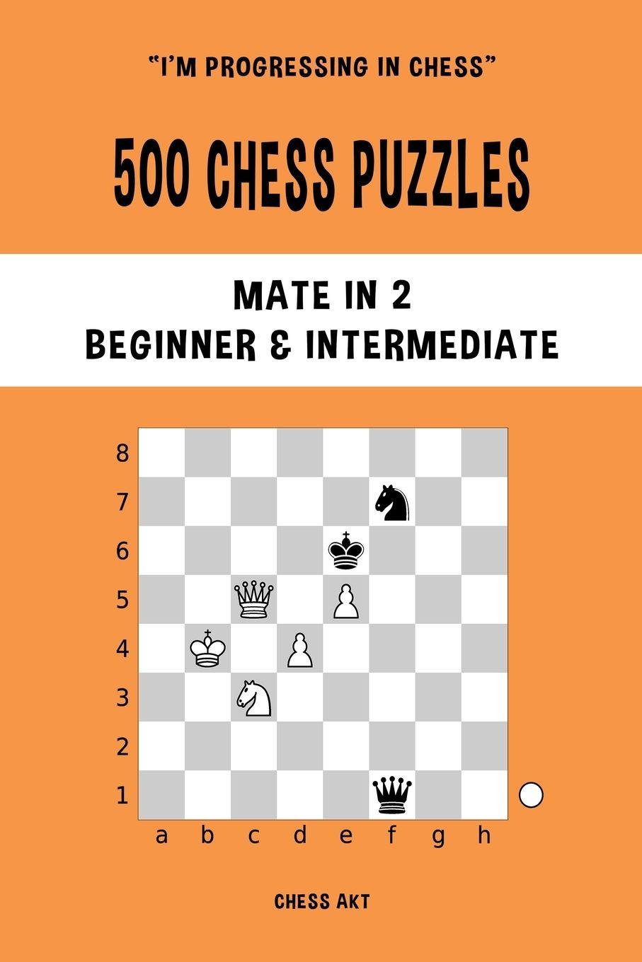 Vorderes Coverbild 500 Chess Puzzles, Mate in 2, Beginner and Intermediate Level