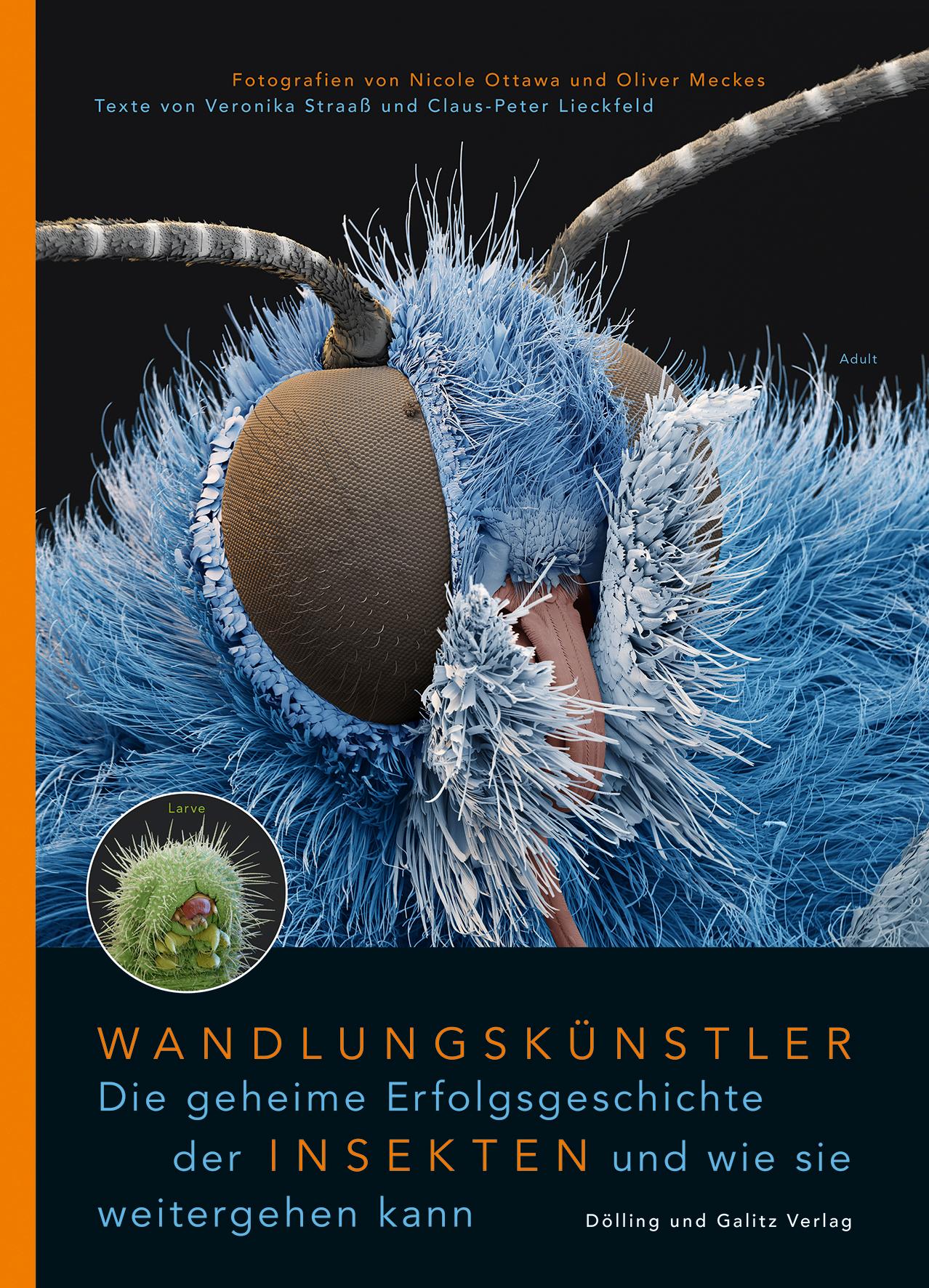 Vorderes Coverbild Wandlungskünstler. Die geheime Erfolgsgeschichte der Insekten und wie sie weitergehen kann