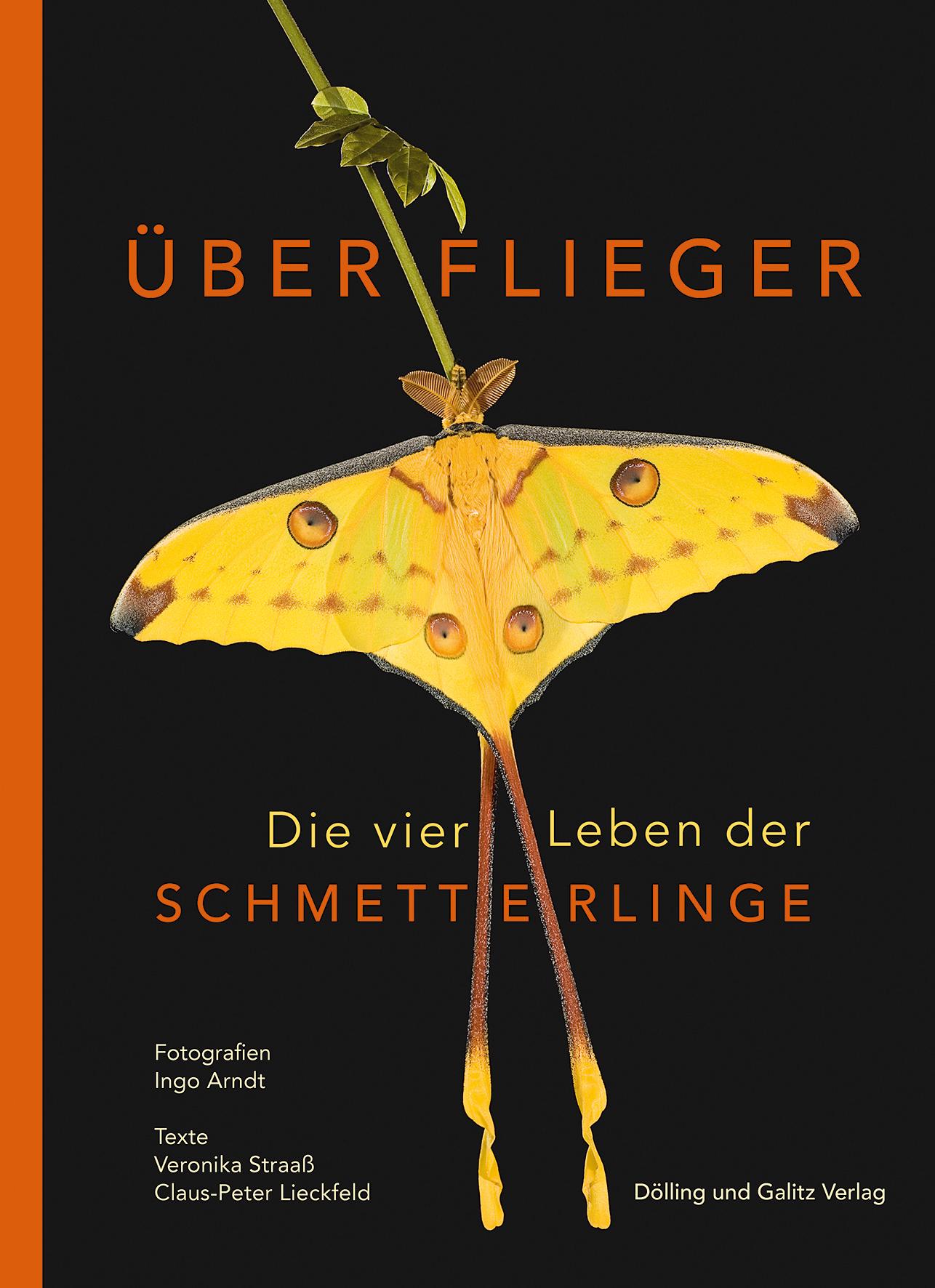 Vorderes Coverbild Überflieger. Die vier Leben der Schmetterlinge