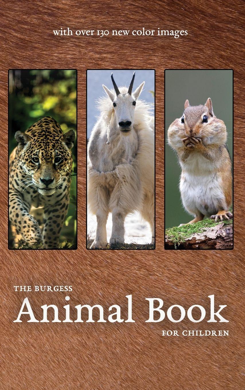 Vorderes Coverbild The Burgess Animal Book with new color images
