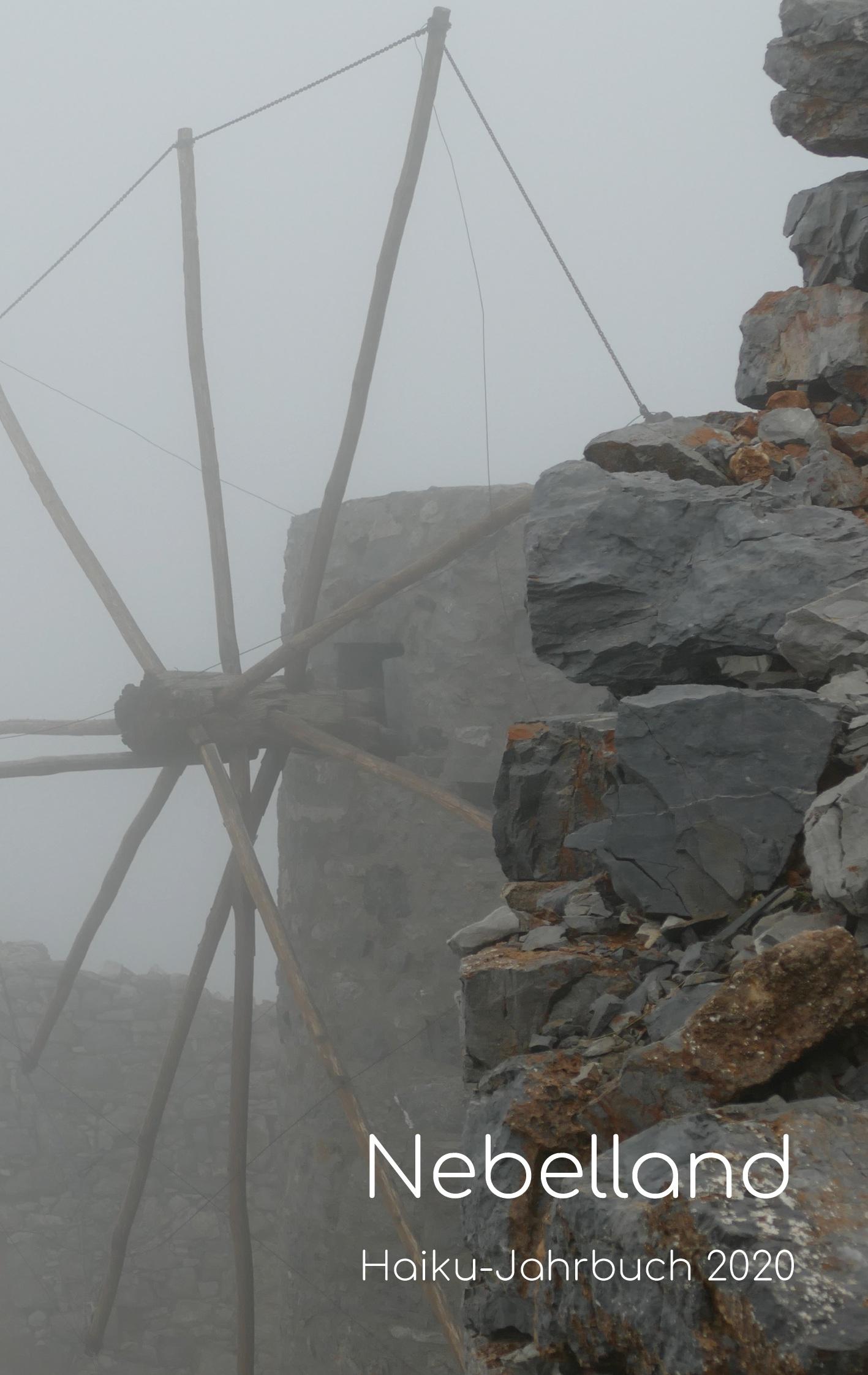 Vorderes Coverbild Nebelland