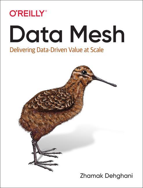 Vorderes Coverbild Data Mesh