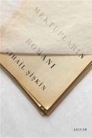 Vorderes Coverbild Mektuplarin Romani