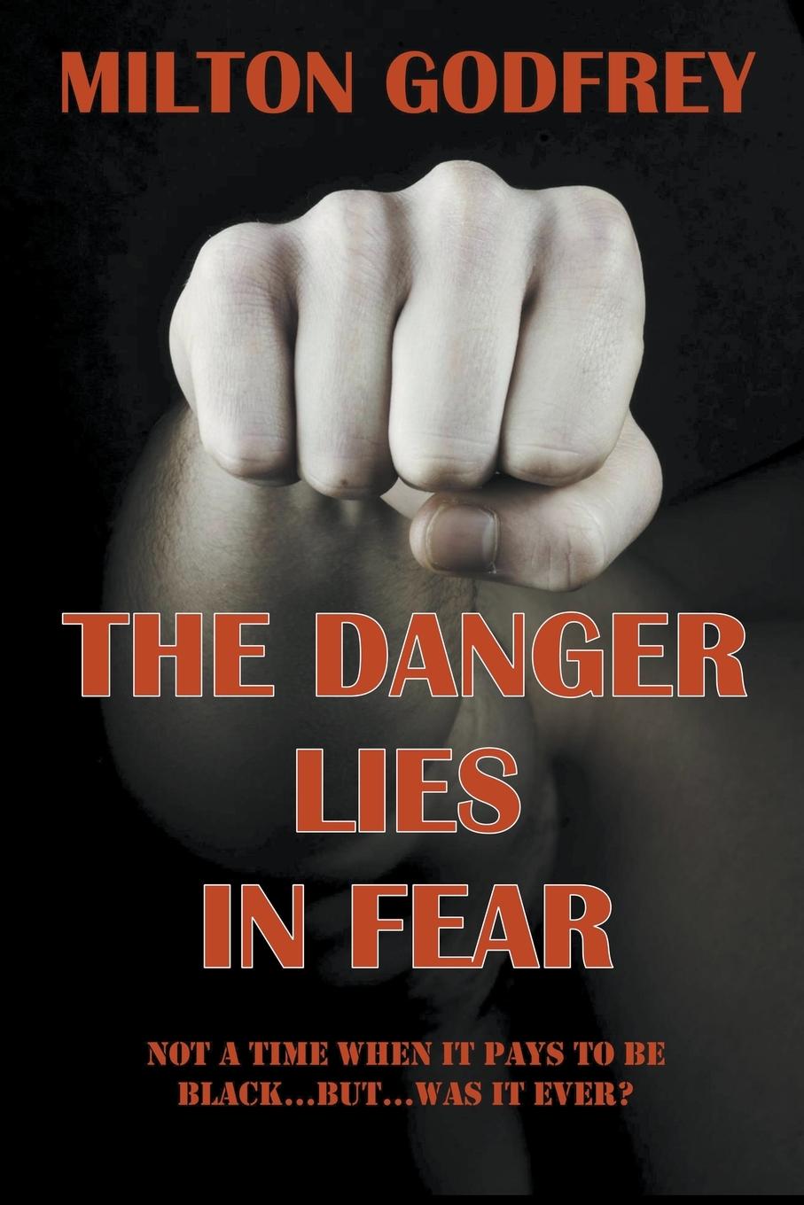 Vorderes Coverbild The Danger Lies In Fear