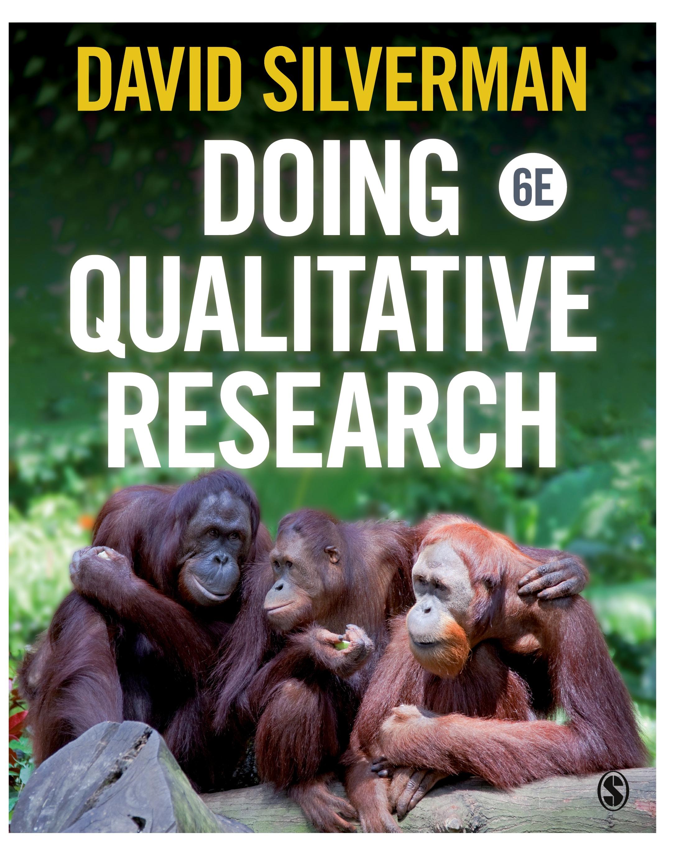 Vorderes Coverbild Doing Qualitative Research