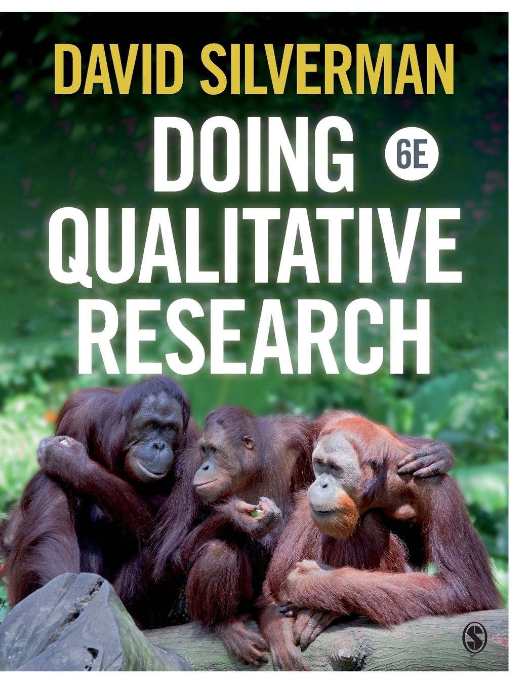 Vorderes Coverbild Doing Qualitative Research