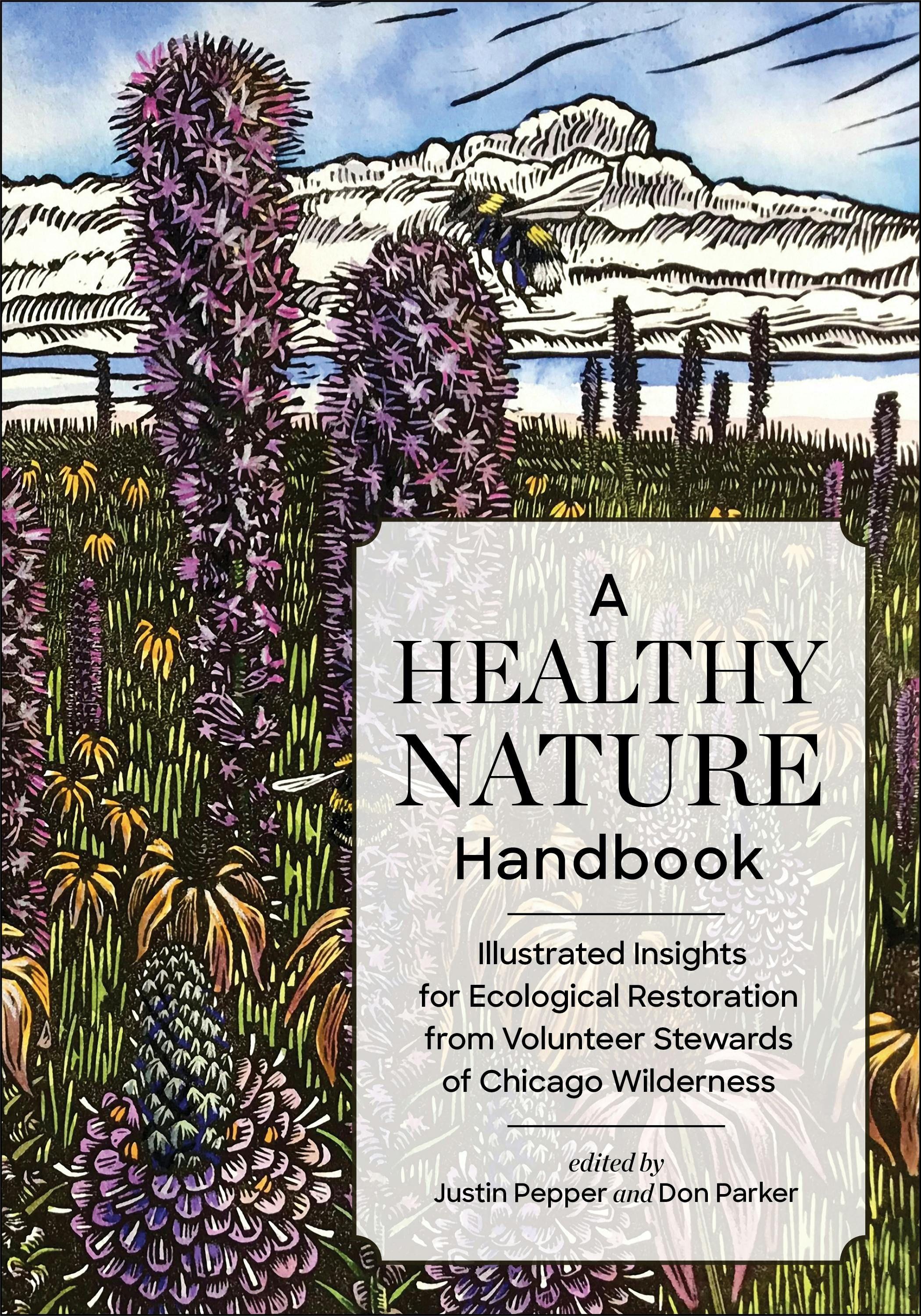 Vorderes Coverbild A Healthy Nature Handbook