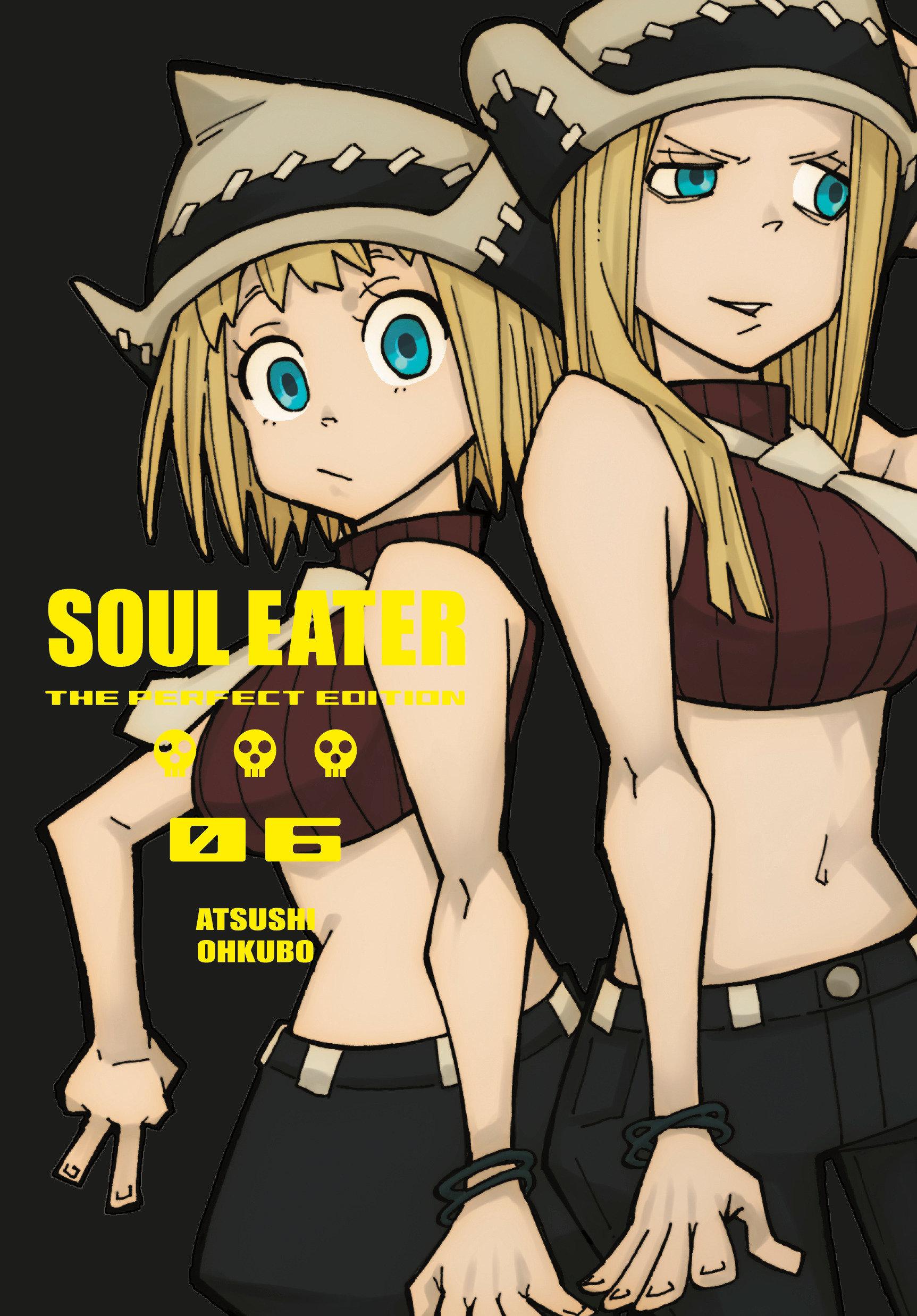 Vorderes Coverbild Soul Eater: The Perfect Edition 06