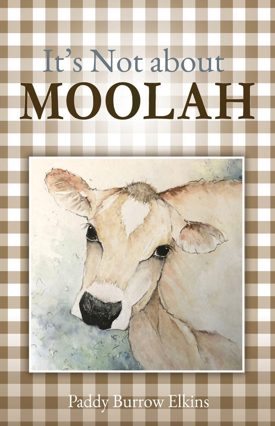 Vorderes Coverbild It's Not about MOOLAH