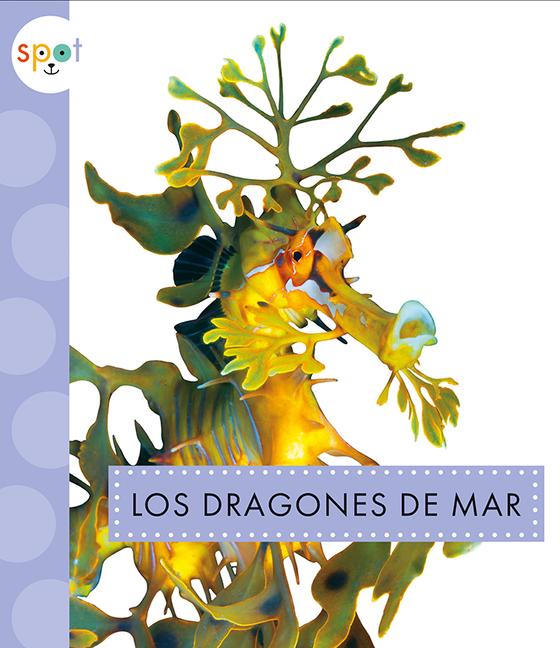 Vorderes Coverbild Los Dragones de Mar