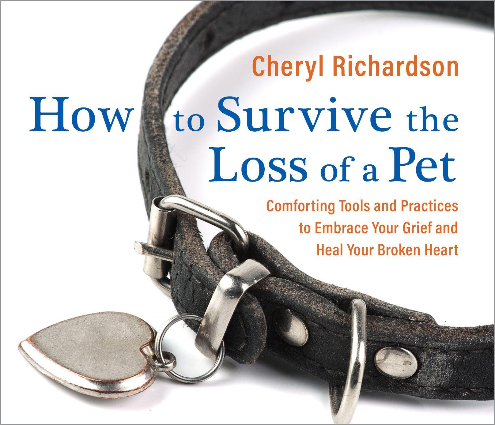 Vorderes Coverbild How to Survive the Loss of a Pet: Comforting Tools and Practices to Embrace Your Grief and Heal Your Broken Heart