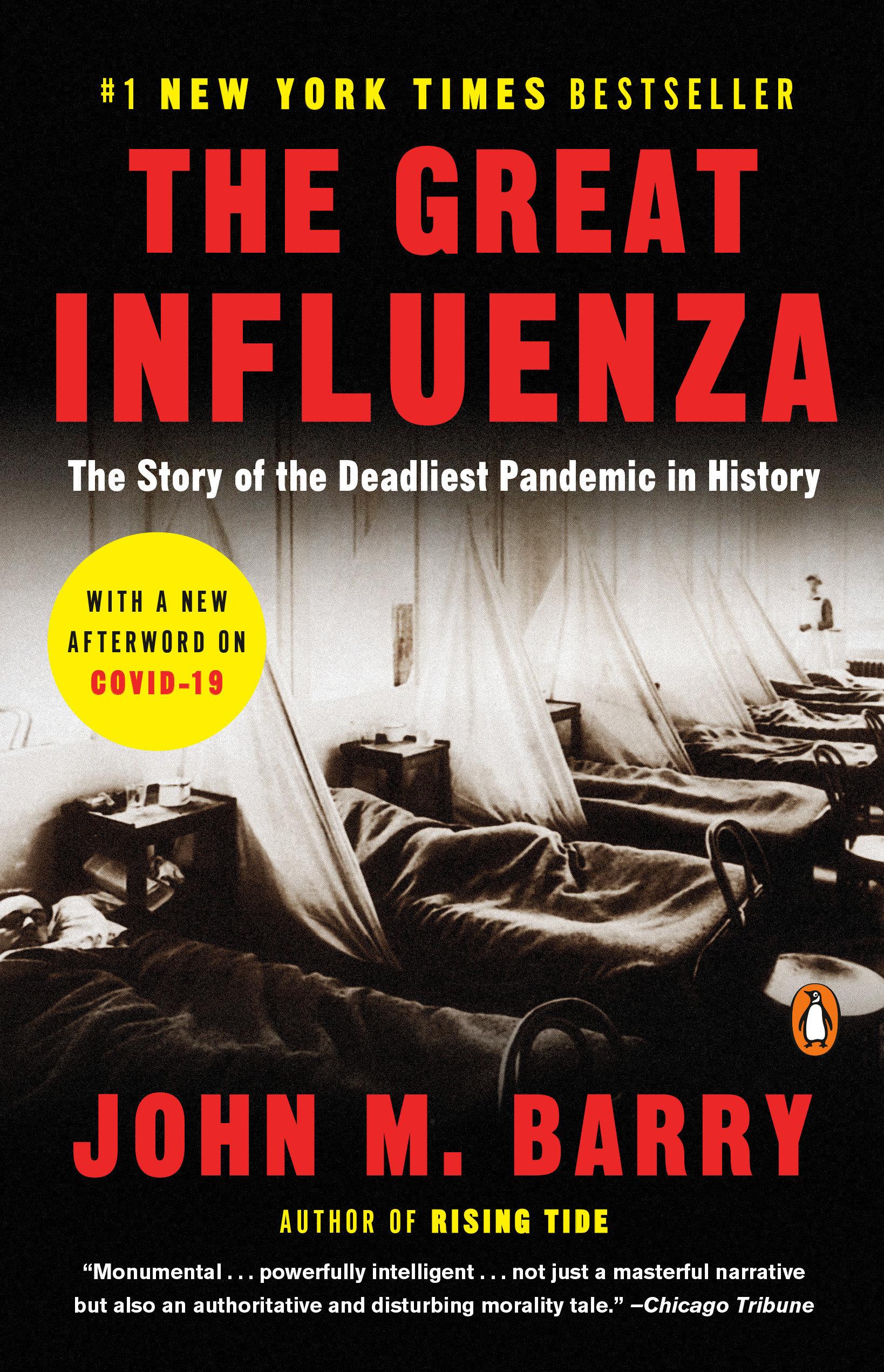 Vorderes Coverbild The Great Influenza