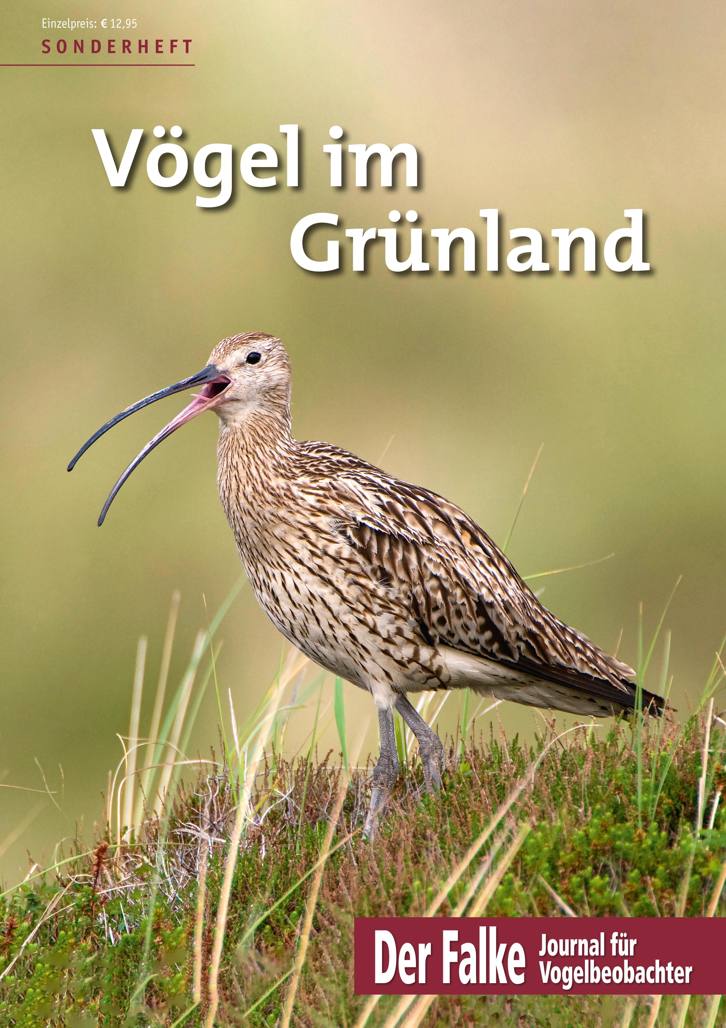 Vorderes Coverbild Vögel im Grünland