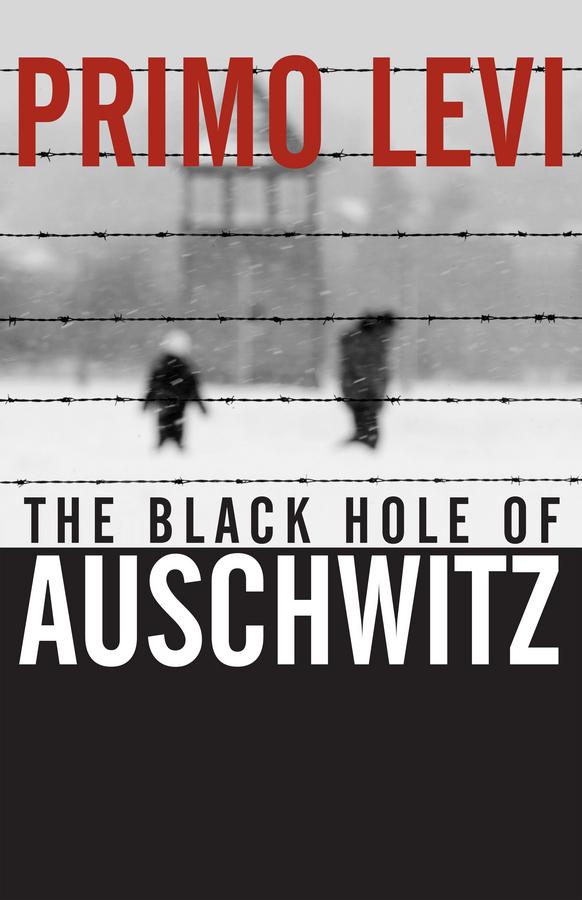 Vorderes Coverbild The Black Hole of Auschwitz