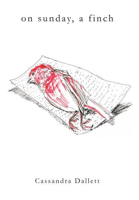 Vorderes Coverbild On Sunday, a Finch