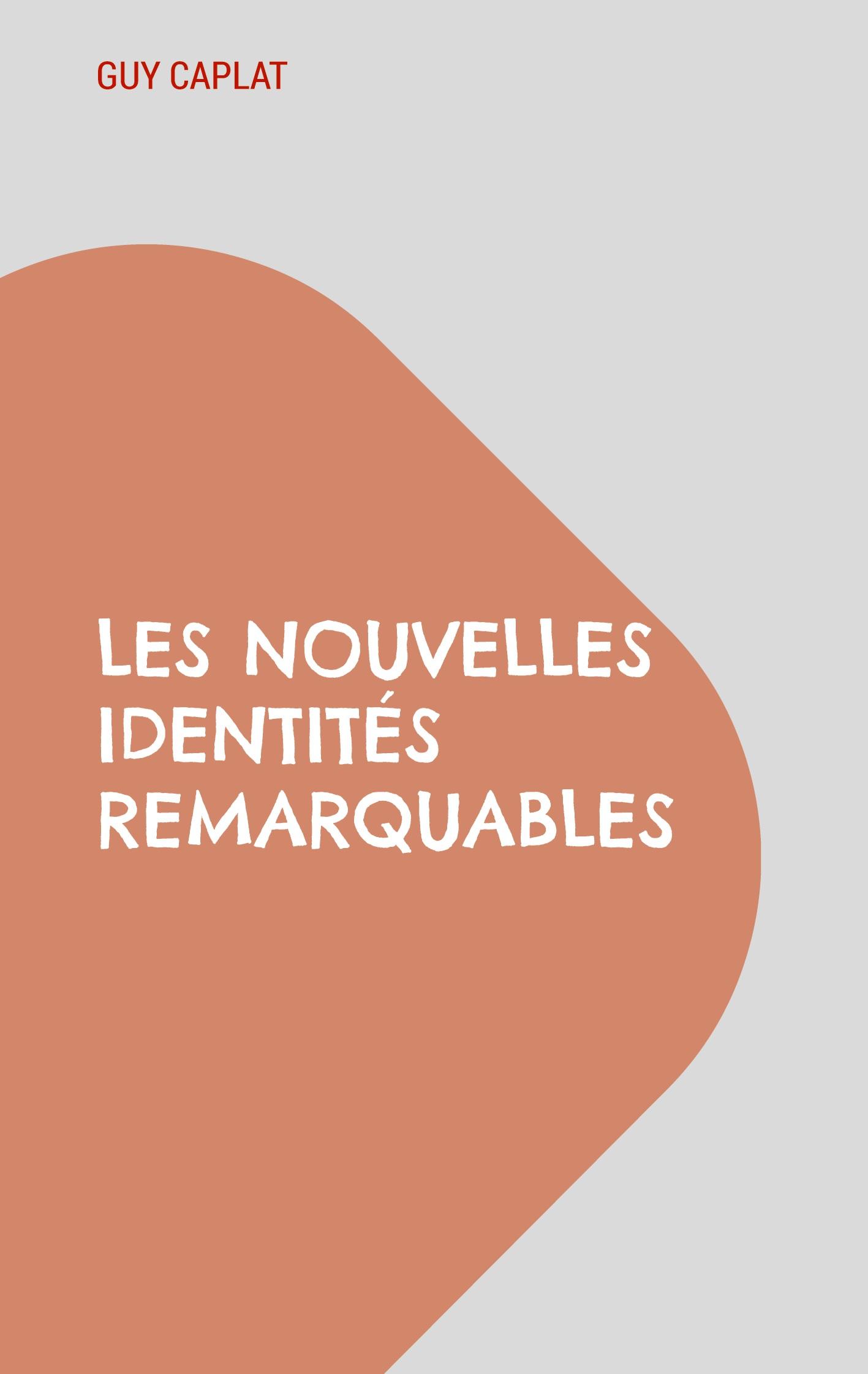 Vorderes Coverbild Les nouvelles identités remarquables