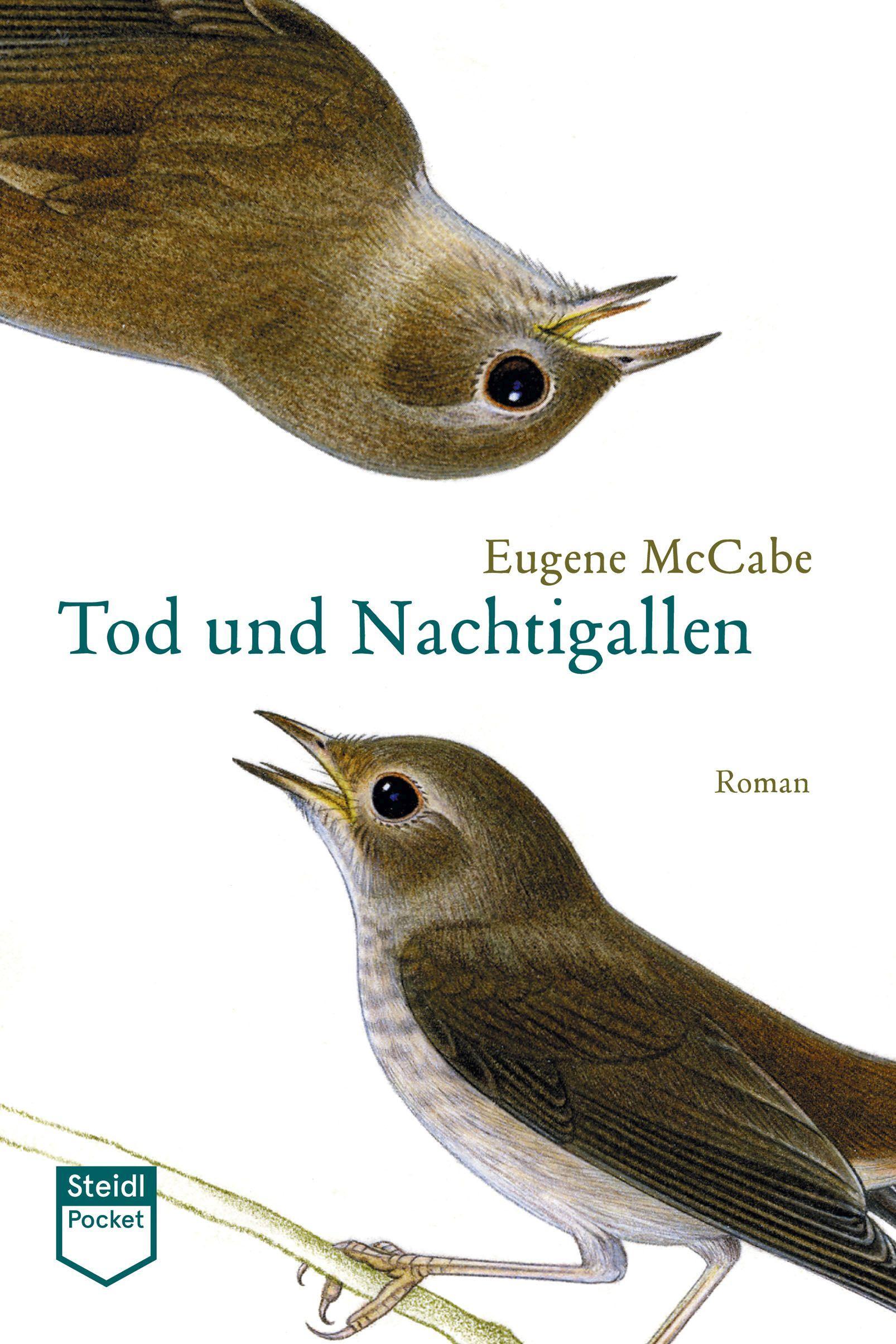 Vorderes Coverbild Tod und Nachtigallen (Steidl Pocket)
