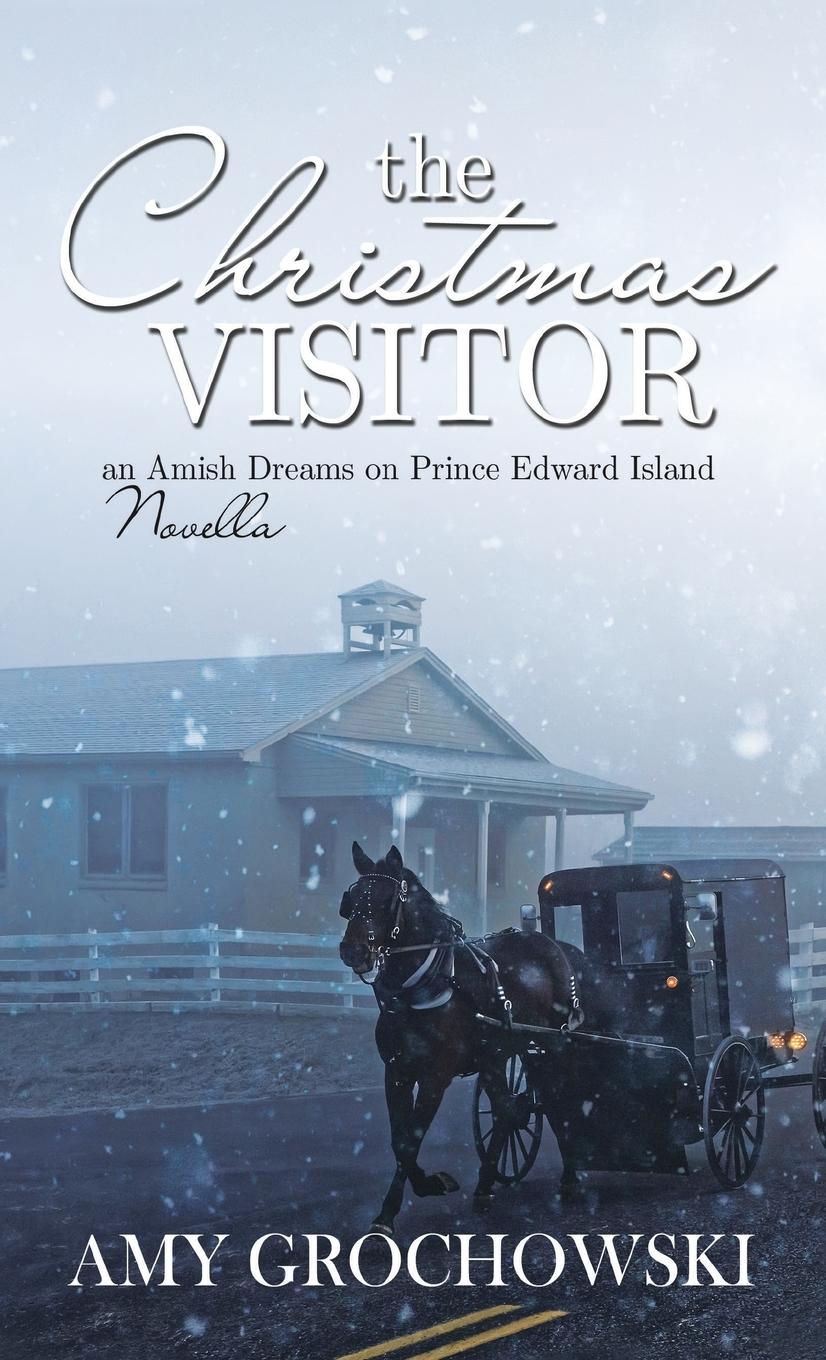 Vorderes Coverbild The Christmas Visitor