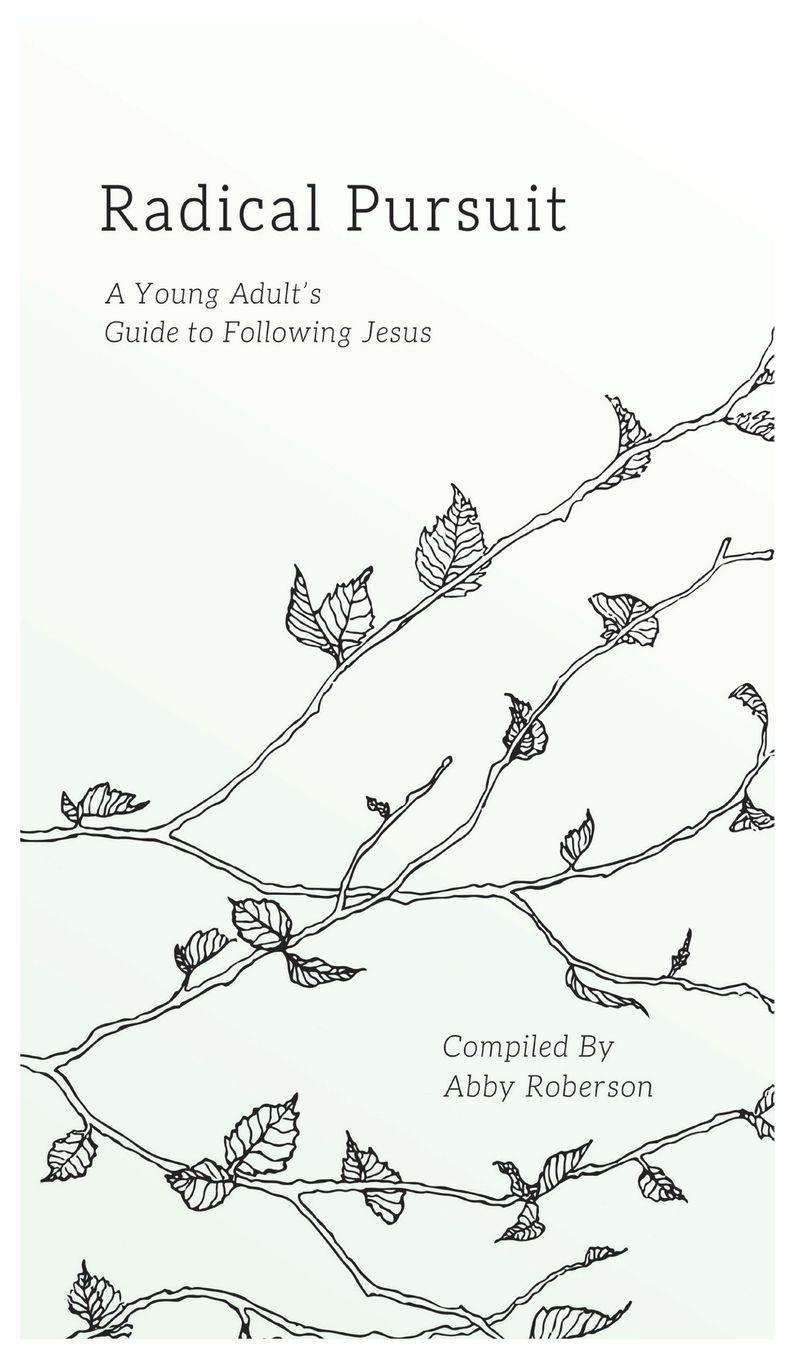 Vorderes Coverbild Radical Pursuit