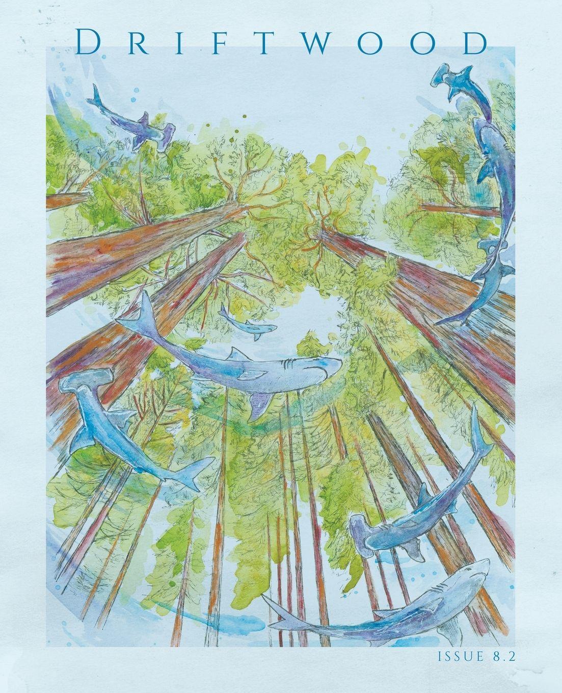 Vorderes Coverbild Driftwood Press 8.2