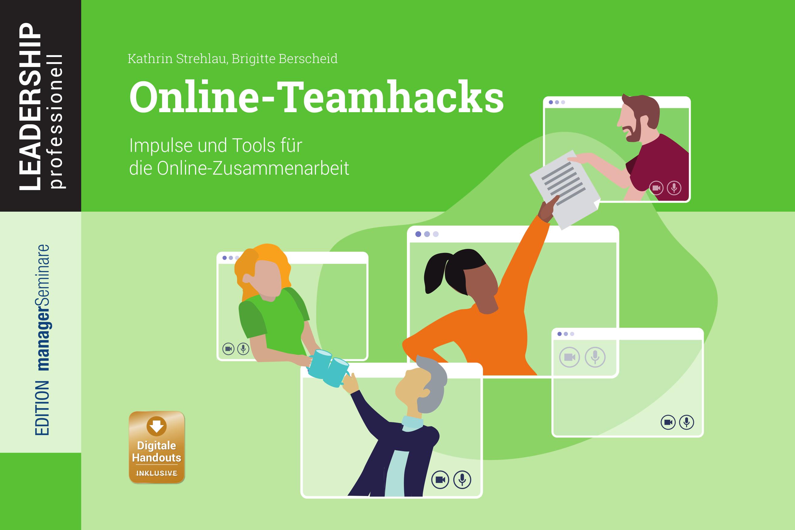 Vorderes Coverbild Online-Teamhacks
