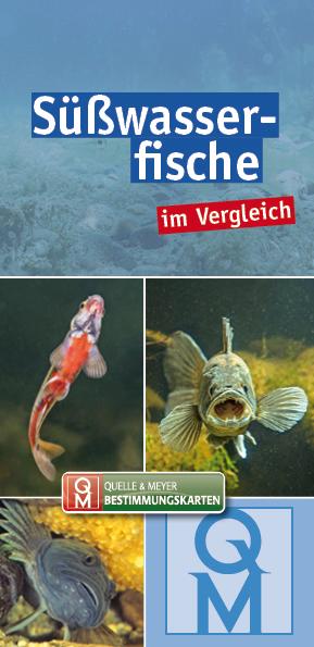 Vorderes Coverbild Süßwasserfische