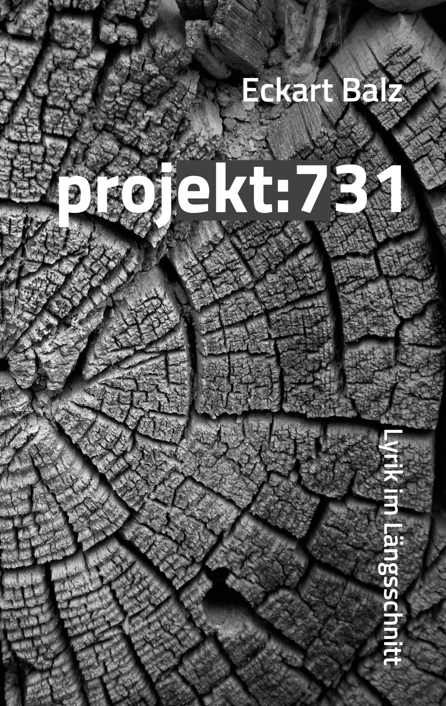 Vorderes Coverbild projekt: 731
