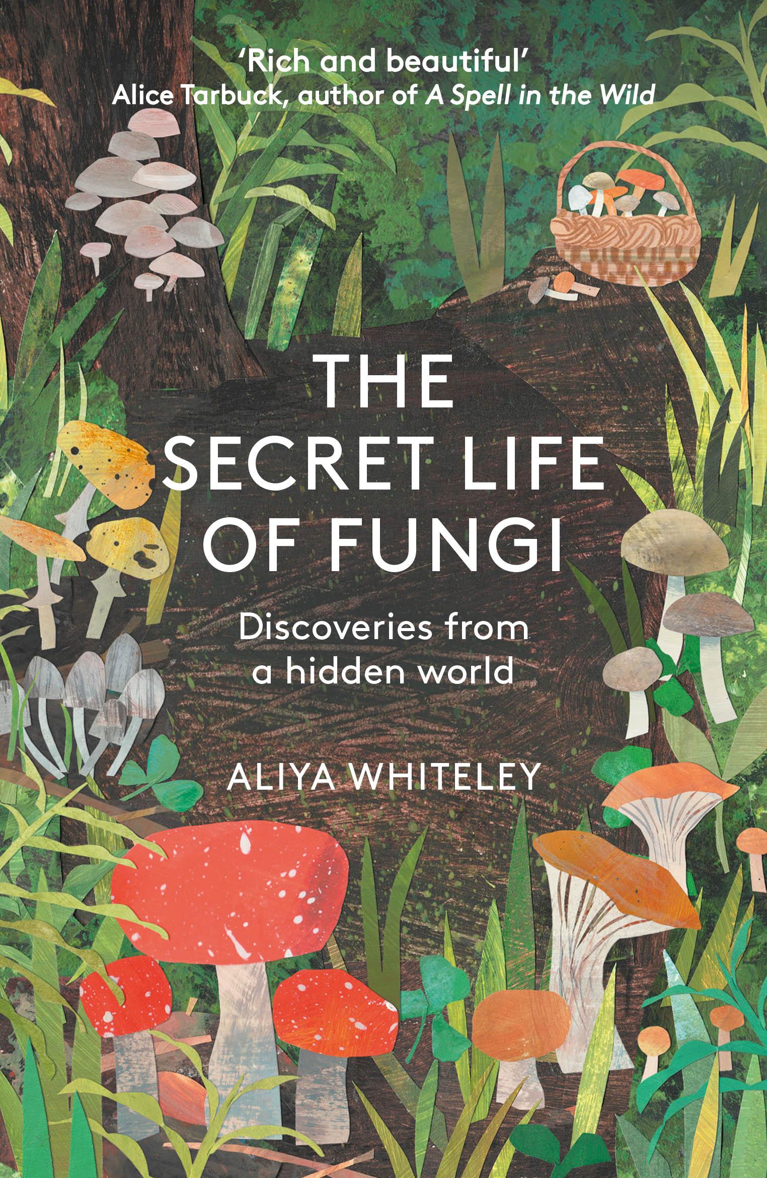 Vorderes Coverbild The Secret Life of Fungi