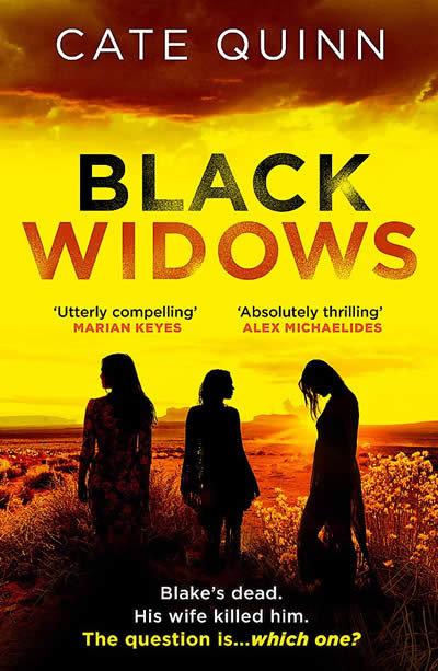 Vorderes Coverbild Black Widows