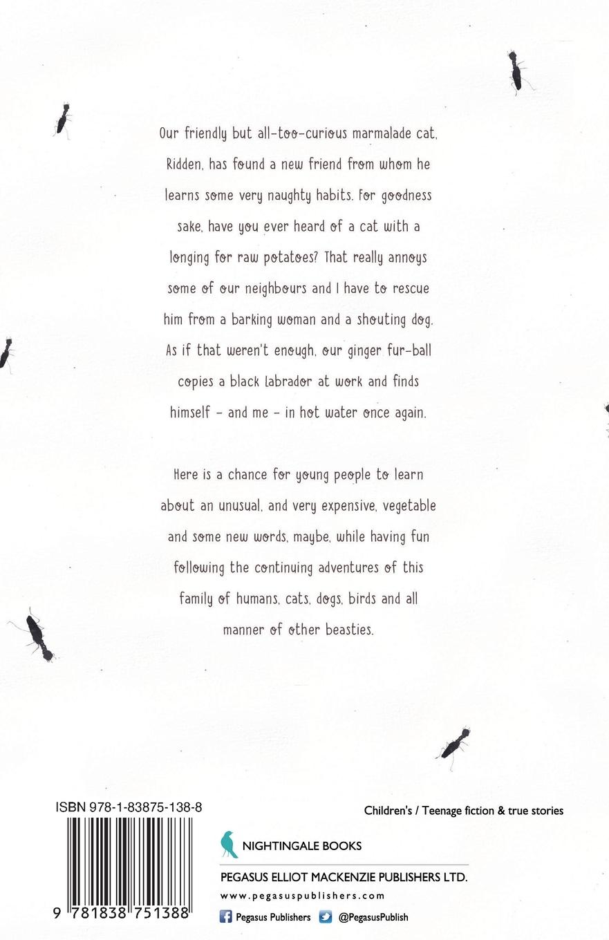 Rückseitencover Spike