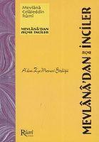 Vorderes Coverbild Adan Zye Mesnevi Sözlügü