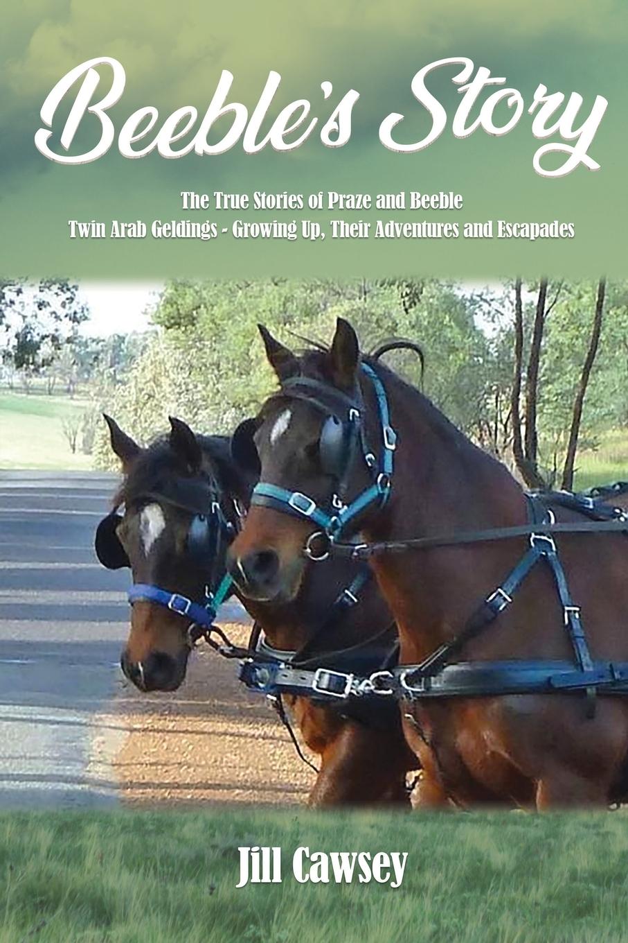 Vorderes Coverbild Beeble's Story