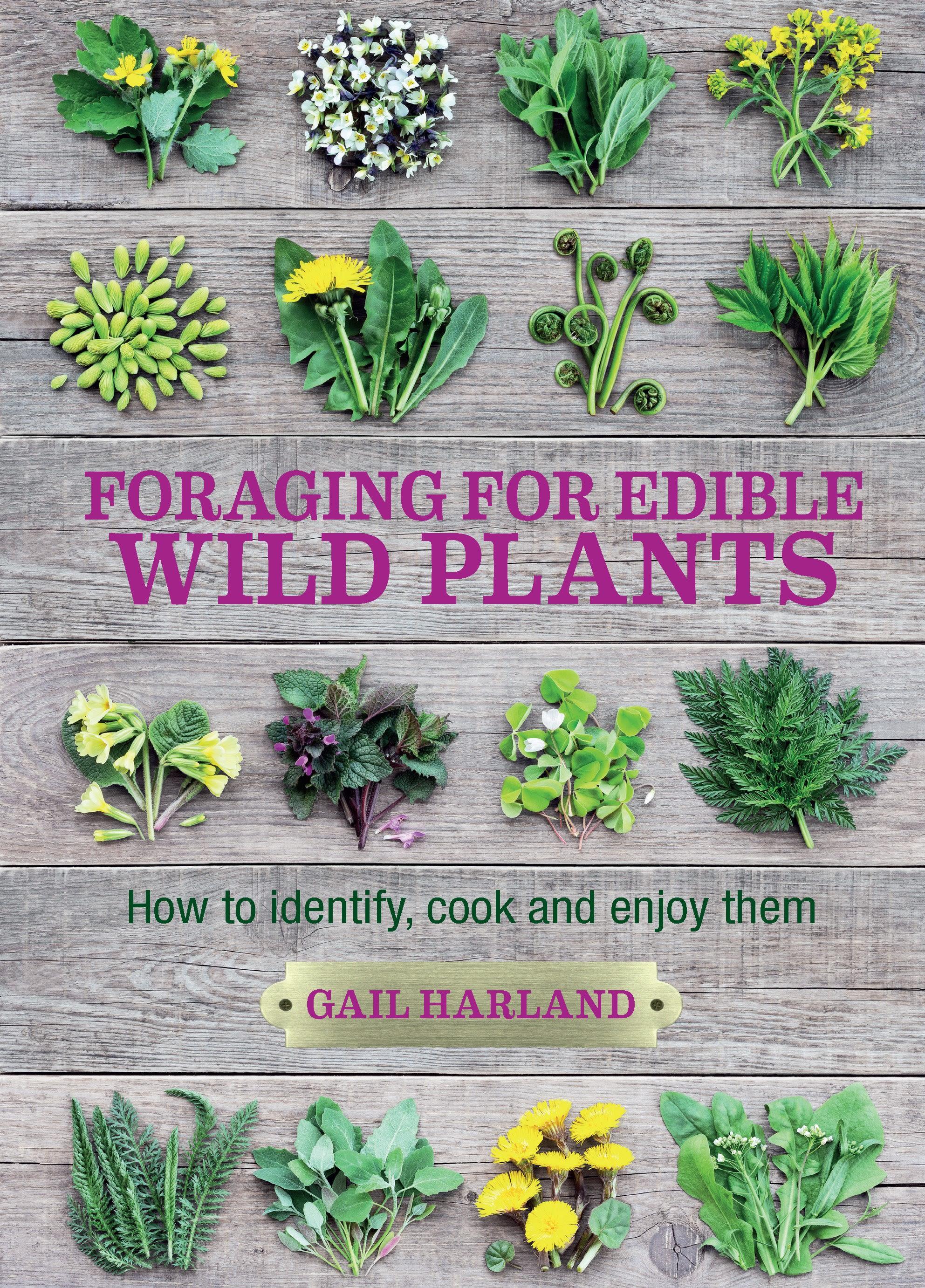 Vorderes Coverbild Foraging for Edible Wild Plants