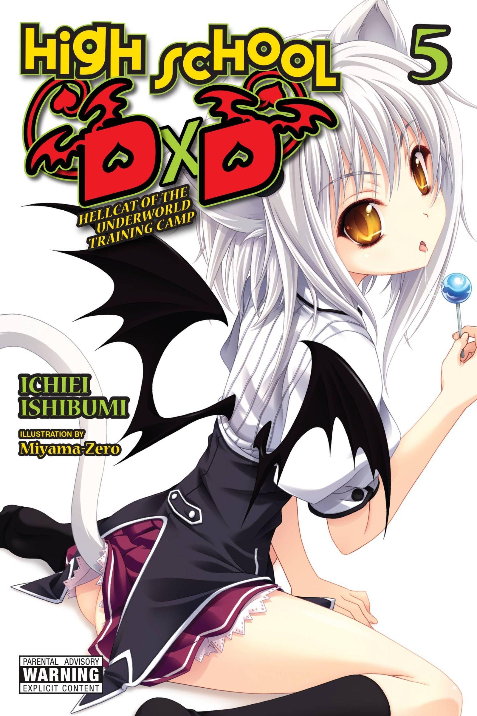 Vorderes Coverbild High School DXD, Vol. 5 (Light Novel)