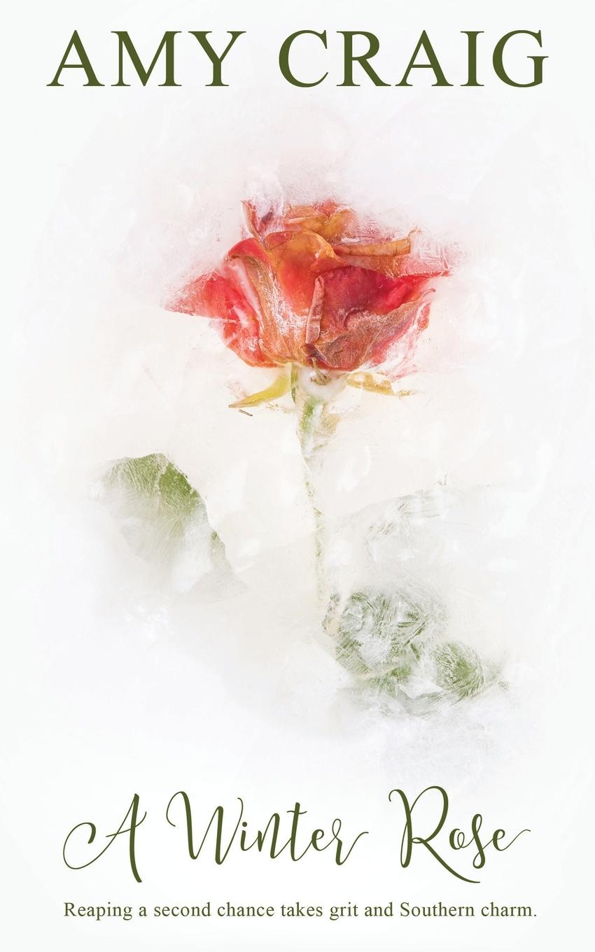 Vorderes Coverbild A Winter Rose