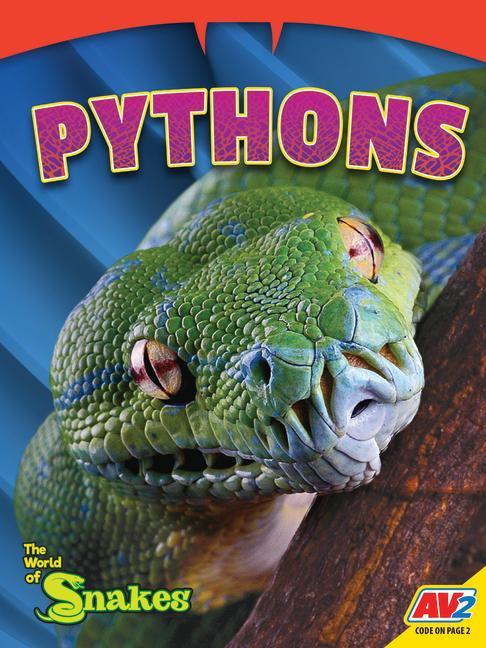 Vorderes Coverbild Pythons