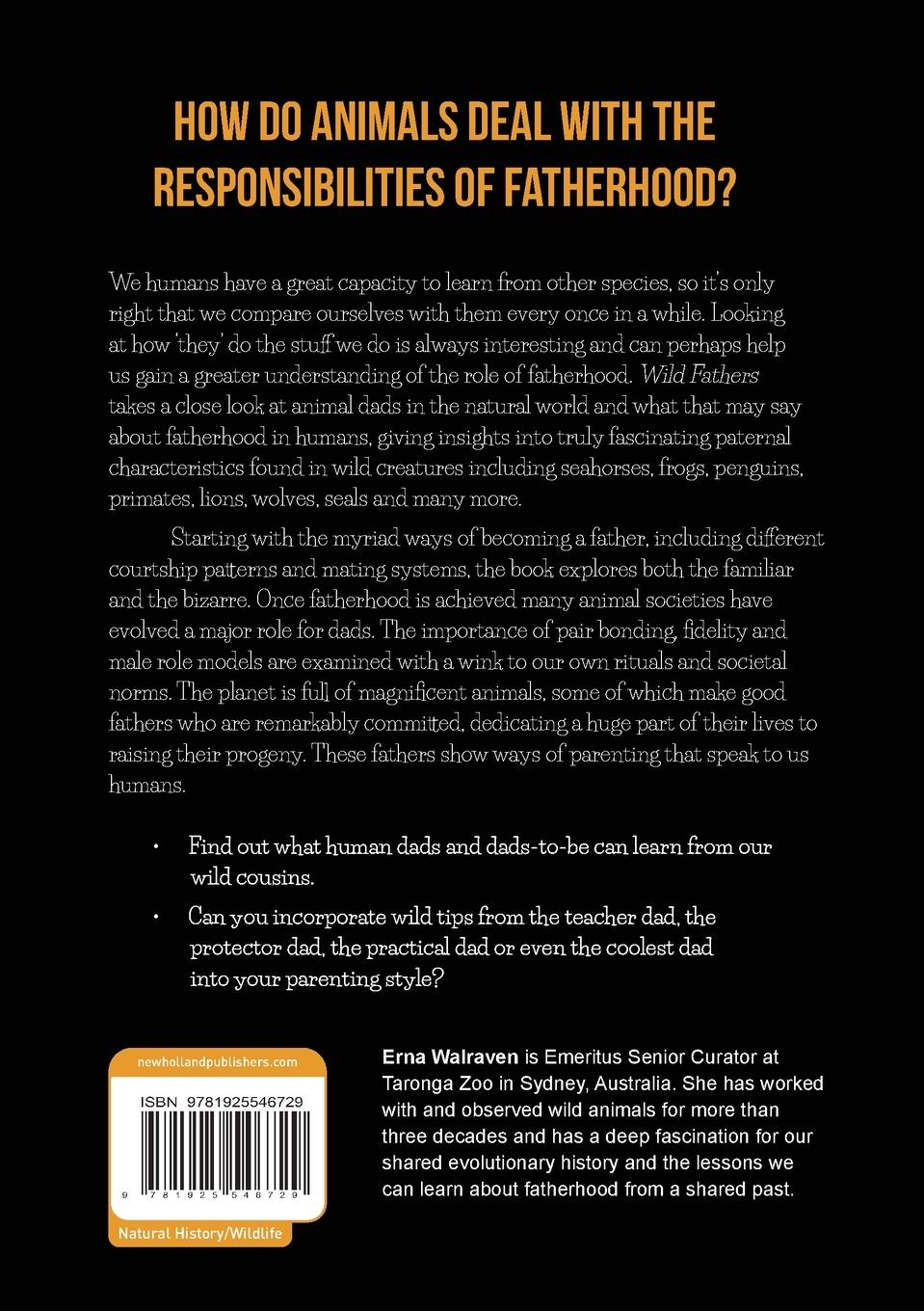 Rückseitencover Wild Fathers