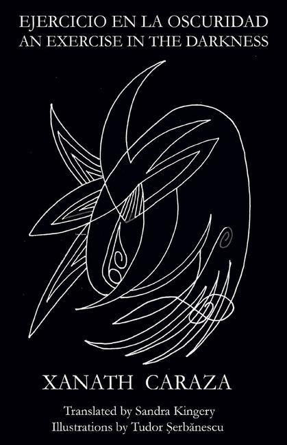 Vorderes Coverbild Ejercicio en la oscuridad