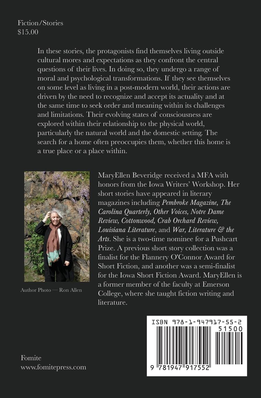 Rückseitencover Permeable Boundaries