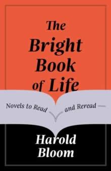 Vorderes Coverbild The Bright Book of Life