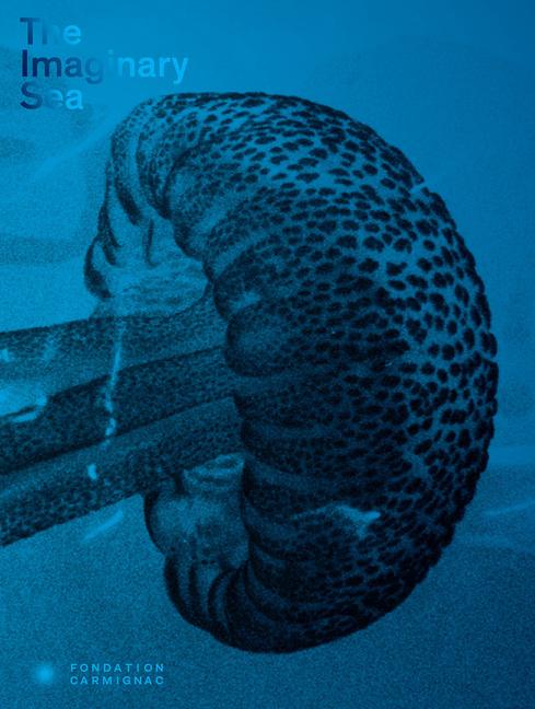 Vorderes Coverbild The Imaginary Sea