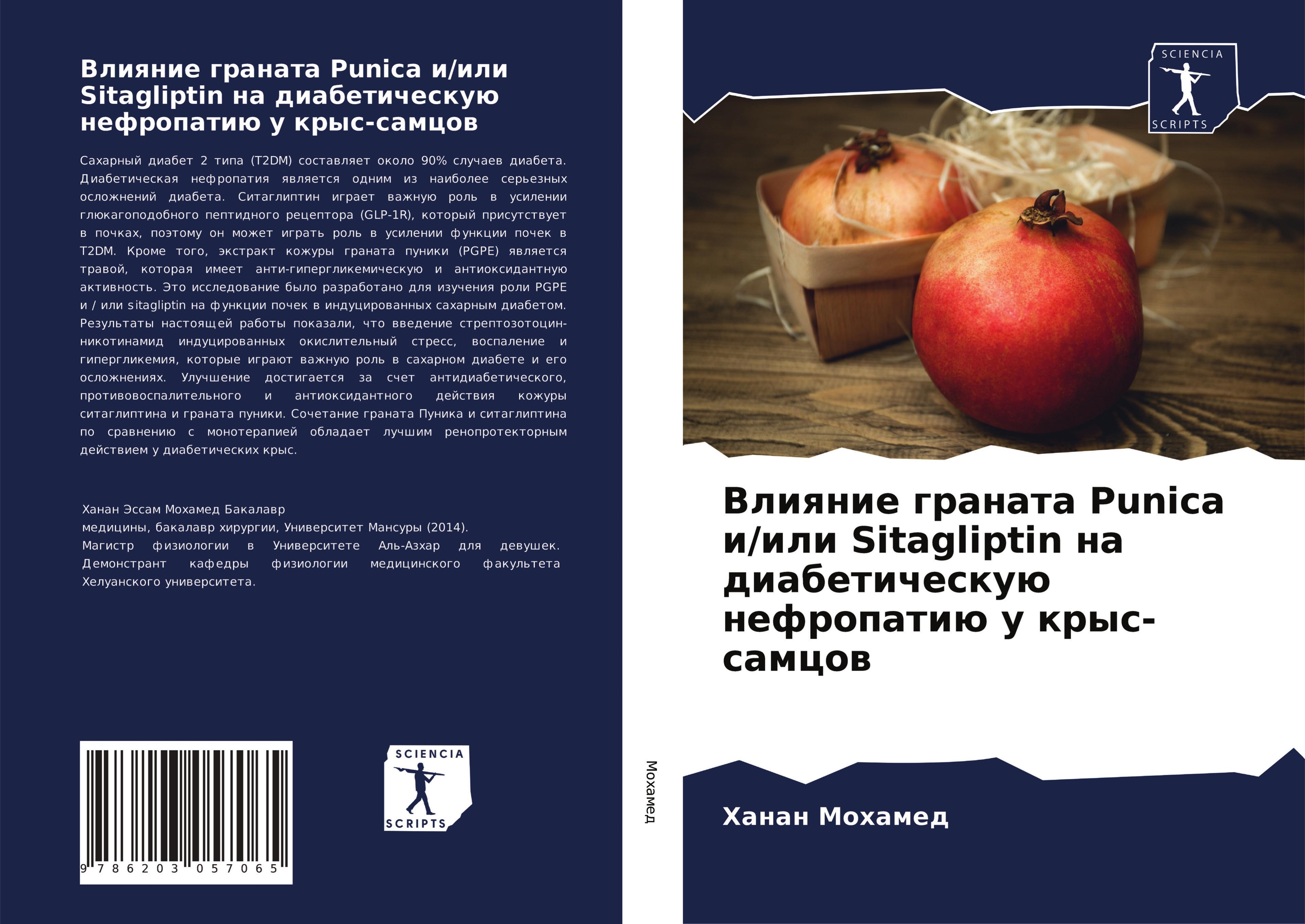 Vorderes Coverbild Vliqnie granata Punica i/ili Sitagliptin na diabeticheskuü nefropatiü u krys-samcow