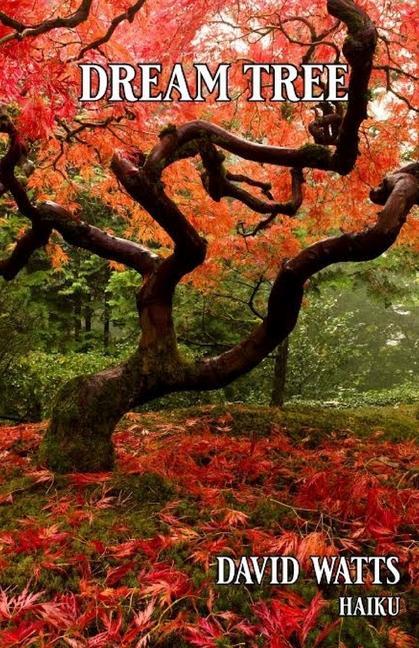 Vorderes Coverbild Dream Tree